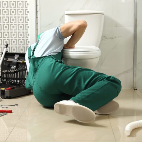 Toilet Clog Cleaning